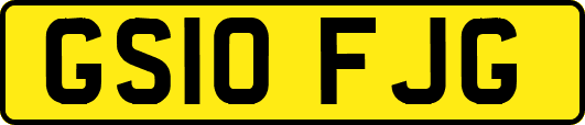 GS10FJG