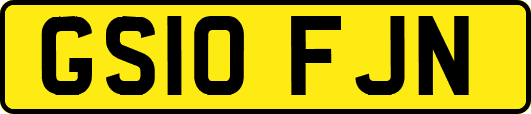 GS10FJN