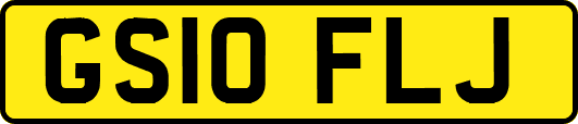 GS10FLJ