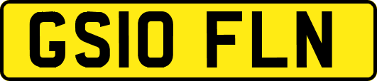 GS10FLN