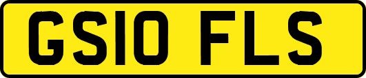 GS10FLS