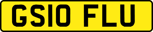 GS10FLU