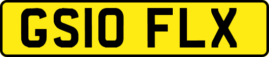 GS10FLX