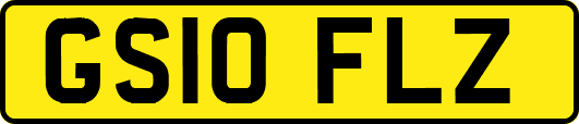 GS10FLZ