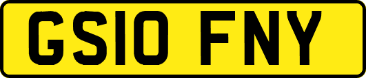 GS10FNY
