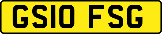 GS10FSG