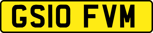GS10FVM