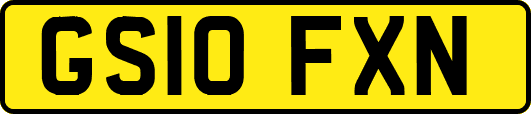 GS10FXN