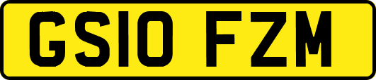 GS10FZM