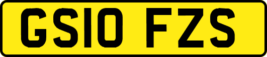 GS10FZS