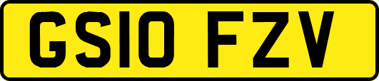 GS10FZV