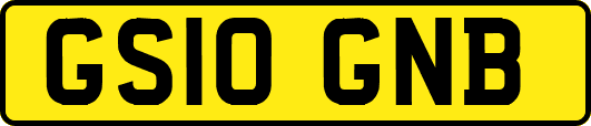 GS10GNB