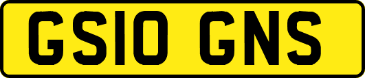 GS10GNS