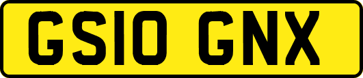 GS10GNX