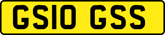 GS10GSS