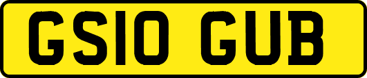 GS10GUB