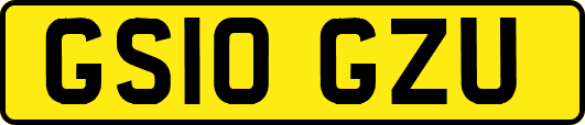 GS10GZU