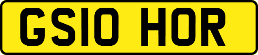 GS10HOR