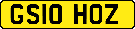 GS10HOZ