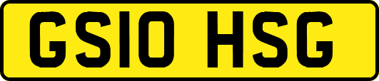 GS10HSG
