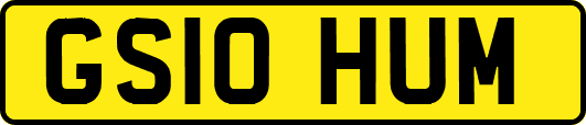 GS10HUM