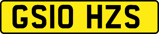 GS10HZS