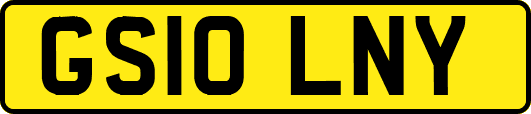 GS10LNY