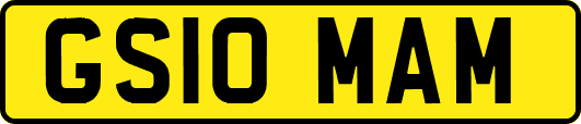 GS10MAM