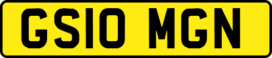 GS10MGN