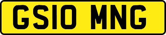 GS10MNG