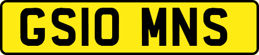 GS10MNS