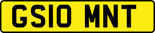 GS10MNT