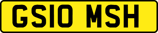 GS10MSH