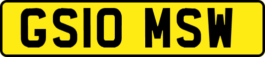 GS10MSW