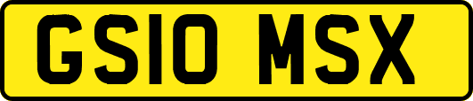 GS10MSX