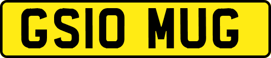 GS10MUG