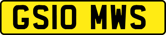 GS10MWS