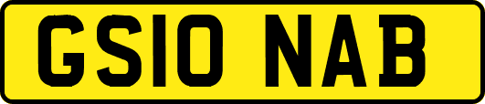 GS10NAB