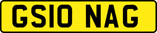 GS10NAG
