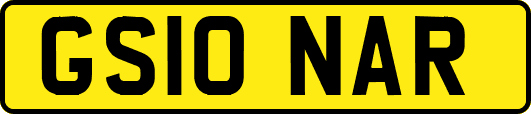 GS10NAR