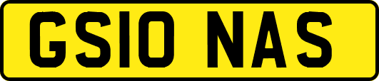 GS10NAS