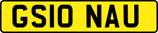 GS10NAU