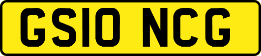 GS10NCG