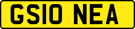 GS10NEA