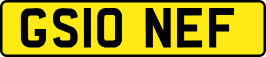 GS10NEF