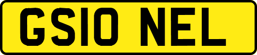 GS10NEL