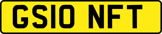 GS10NFT