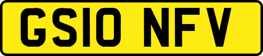 GS10NFV