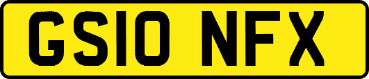 GS10NFX