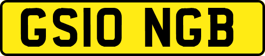 GS10NGB